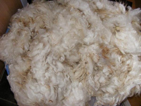 fiberfill cotton